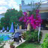 Galeri Image